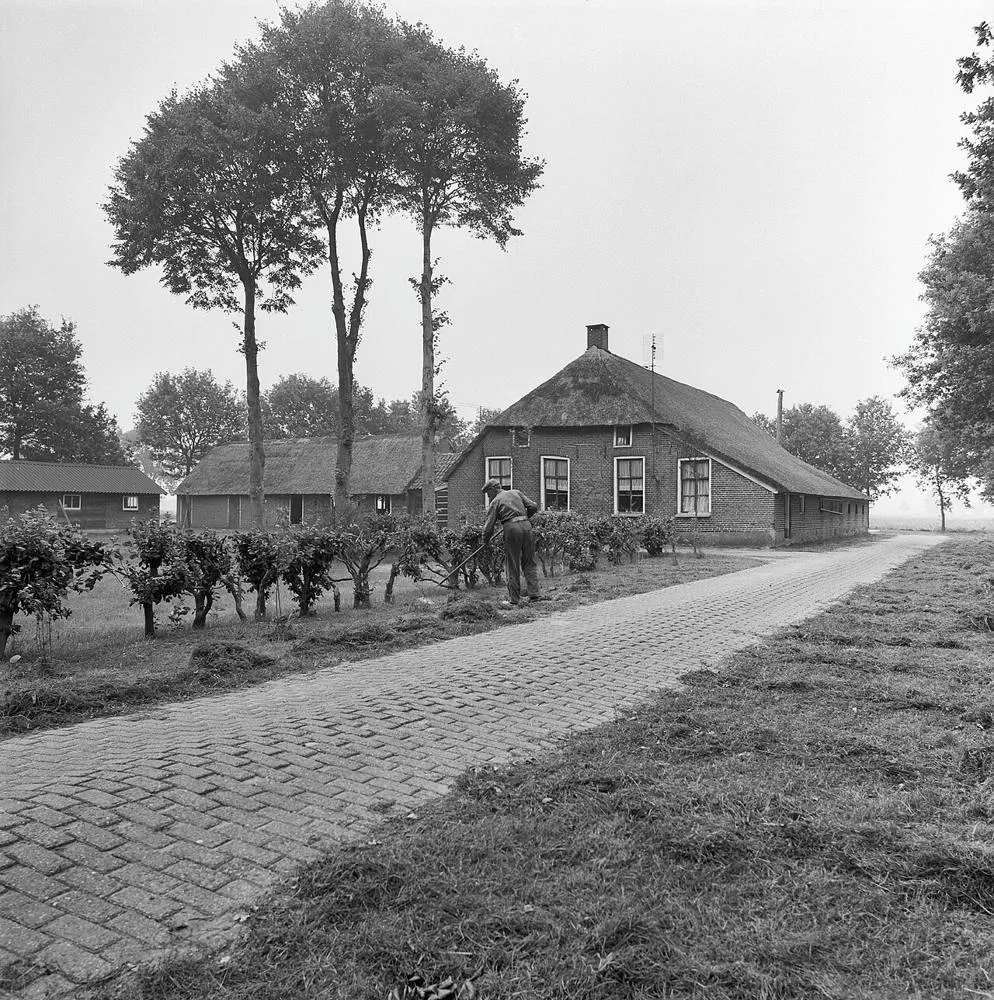 Vinkenbuurt: Overzicht - Vinkenbuurt - 20242557 - RCE